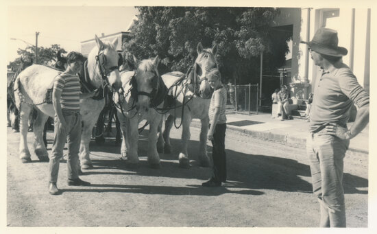 Horses with handlers in Bow St during filming of &lsquo;The Irishman&rsquo; 1977