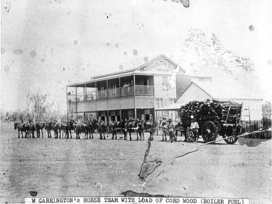 W Carrington&rsquo;s Horse Team with Load of Cord Wood (Boiler Fuel)