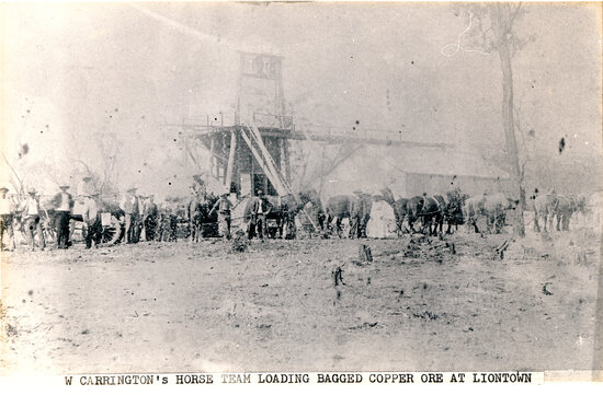 W Carrington&rsquo;s Horse Team Loading Bagged Copper Ore at Liontown
