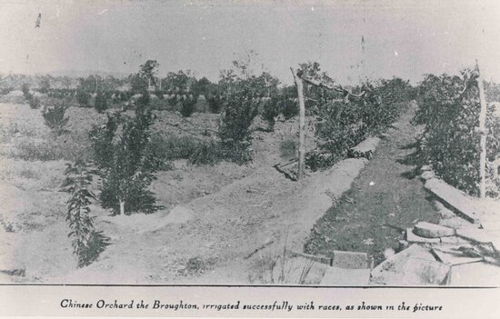 Chinese Orchard, The Broughton