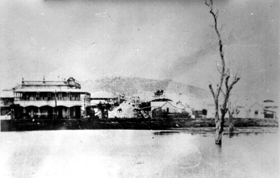 View looking across Plant's Dam to Waverley Hotel, Mosman Street