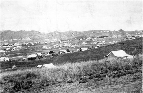 View From Buckland&rsquo;s Hill looking South