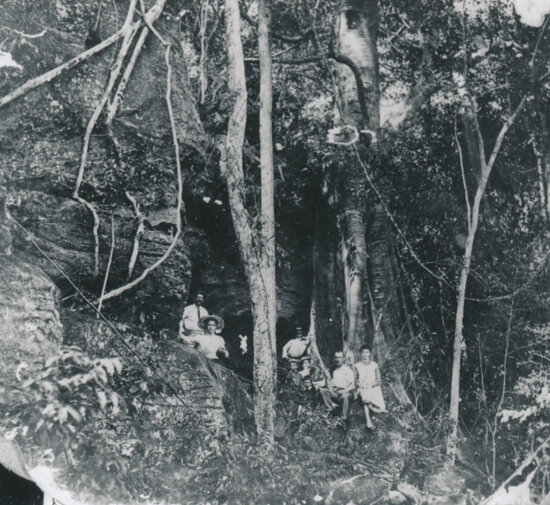 Group of people beside large fig tree on rocky outcrop