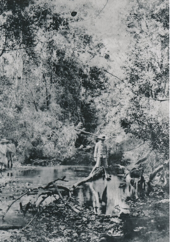 Children beside creek in forest