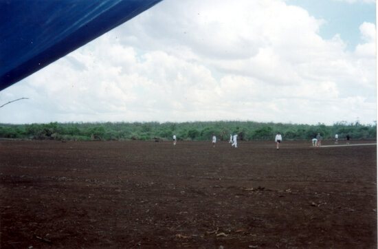 Newly Prepared field for Goldfield Ashes Carnival Cricket Match possibly being played at &ldquo;Drink a Stubby Downs&rdquo;