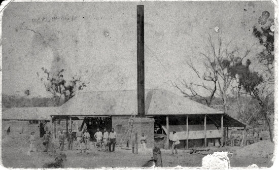 Venus Mill, Three Months After Commencement, 1872