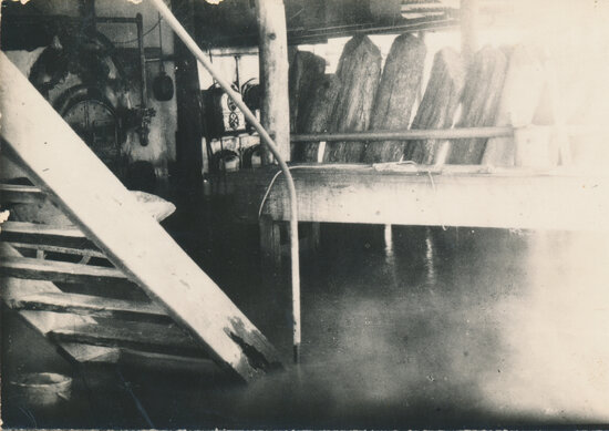 Floodwaters in the interior of Boiler / Engine House, Pumping Station, Burdekin River, 1927