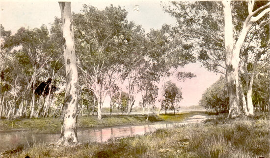 Fletcher Creek entering Red Lily Lagoon, Charters Towers