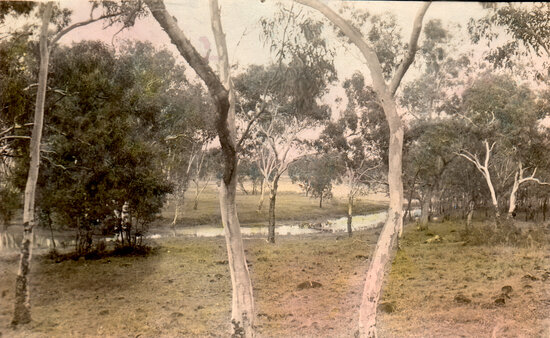 Fletcher Creek near Red Lily Lagoon