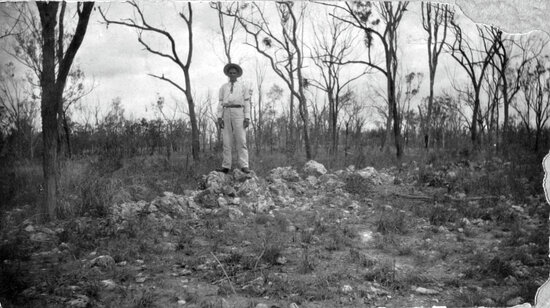 Man on rock outcrop in bush