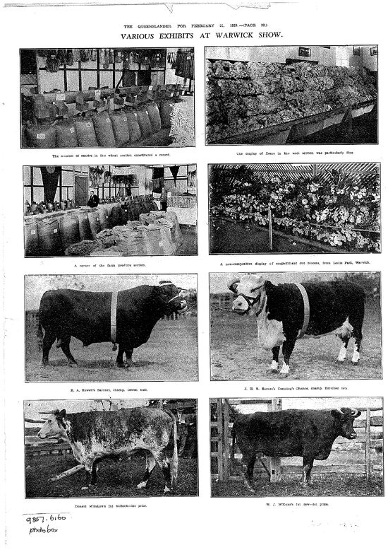 Queenslander Feature Photos 1929