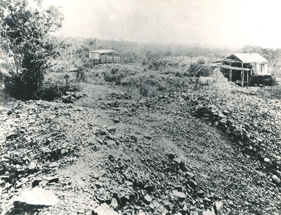 Painui Hill, Ravenswood