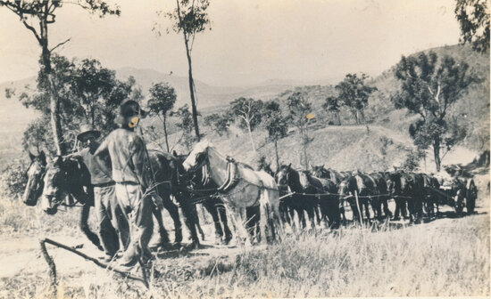 Horse Team, Ravenswood