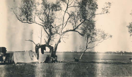 Camping in the Bush