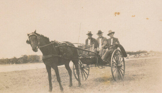 Three Men in a Horse and buggy