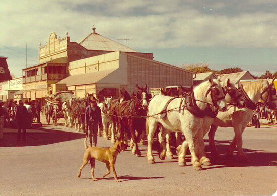 Wagon and Horse Team in Gill Street During the Filming of The Irishman, 1977