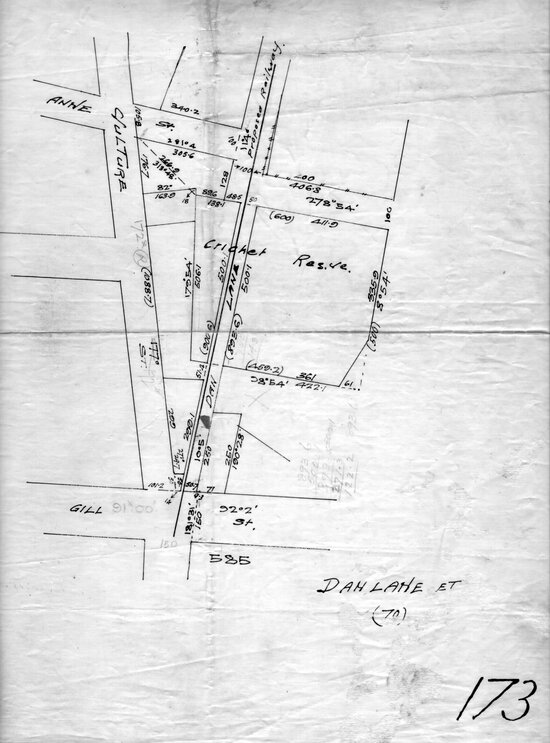 Survey of Dan Lane
