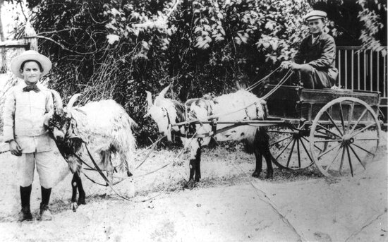 Two boys with Billy Goat Cart