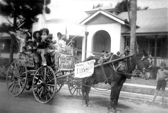 Horse-drawn buggy decorated for parade