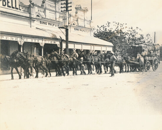 Team of Horses in front of Burns Philp &amp; Co and Cummins &amp; Campbell, Mosman st