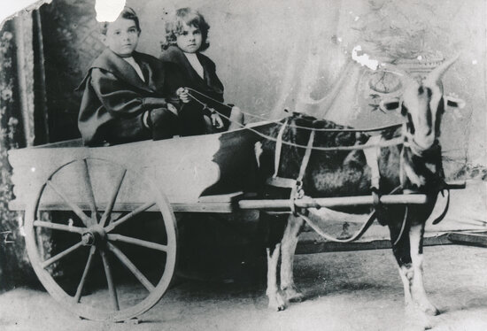 Powell brothers Norman and Bill in a goat cart