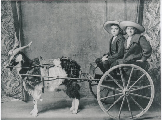 Powell brothers Norman and Bill in a goat cart