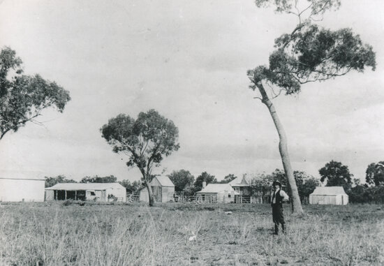 Cardigan Station Homestead with outbuildings