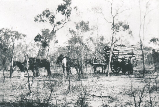 Bringing in a load of timber for a burn, Sandy Creek
