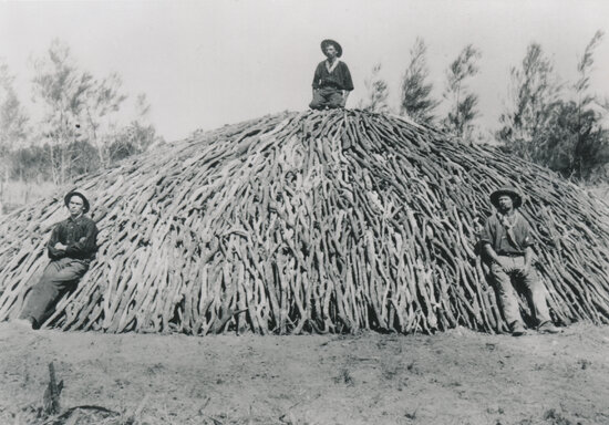 Charcoal kiln at Merinda