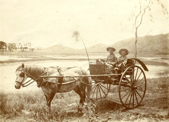 Two boys in a buggy, possibly one on right is Charles Pfeiffer