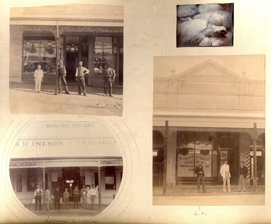 McCallum &amp; Ineson stores