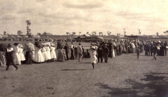 Large crowd around a bush arena
