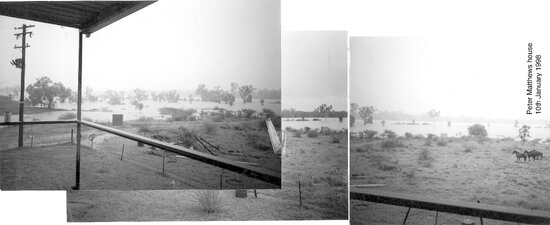 View from Peter Matthews&rsquo; house of Burdekin River in flood, January 1998