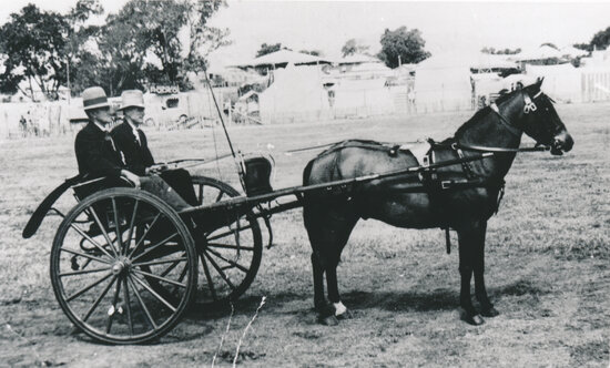Harold Siemon and Mr Butler in a sulky outside Showground