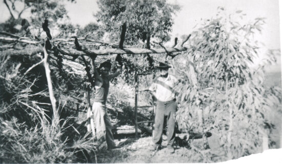 Two men at a mine at Upper Cape goldfield