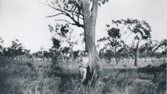 Man under ironbark tree on Dottswood