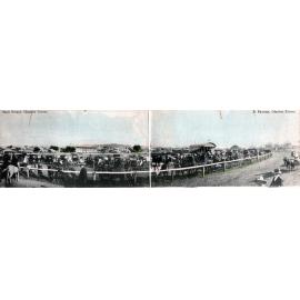 Panorama view of the Showgrounds ring and grandstands