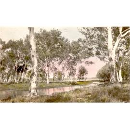 Fletcher Creek entering Red Lily Lagoon, Charters Towers