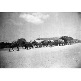 Horse Drawn Wagon Hauling Milled Timber Along Rainbow Road