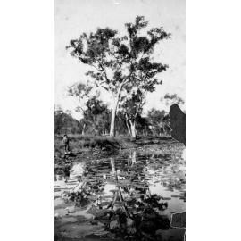 Man beside creek/lagoon with rifle