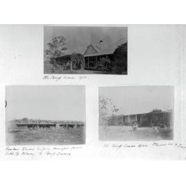 Bassingthwaighte Red Album - Bluff Downs page 1