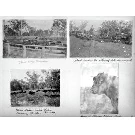 Bassingthwaighte Red Album - page 4