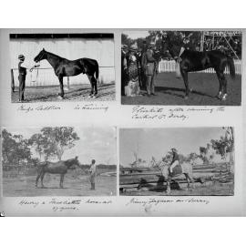 Bassingthwaighte Red Album - Horses page 6