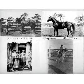 Bassingthwaighte Red Album Bluff Downs - page 3