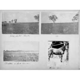Bassingthwaighte Red Album Lake Toomba - page 5