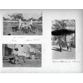 Bassingthwaighte Red Album - page 7