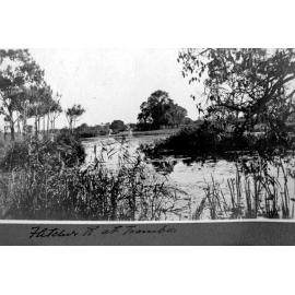 Bassingthwaighte Brown Album - Fletcher