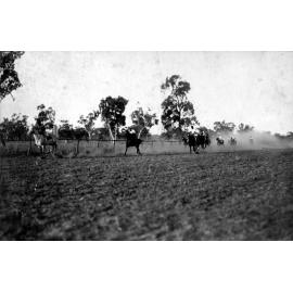 Inaugural Fletcher Vale Races, 1921 - Bert Masso winning stockmen’s race