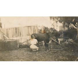 Woman milking a cow
