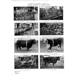 Queenslander Feature Photos 1929